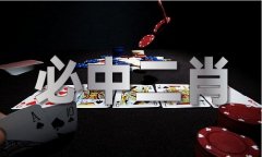 最终导致该项目正在不良影响